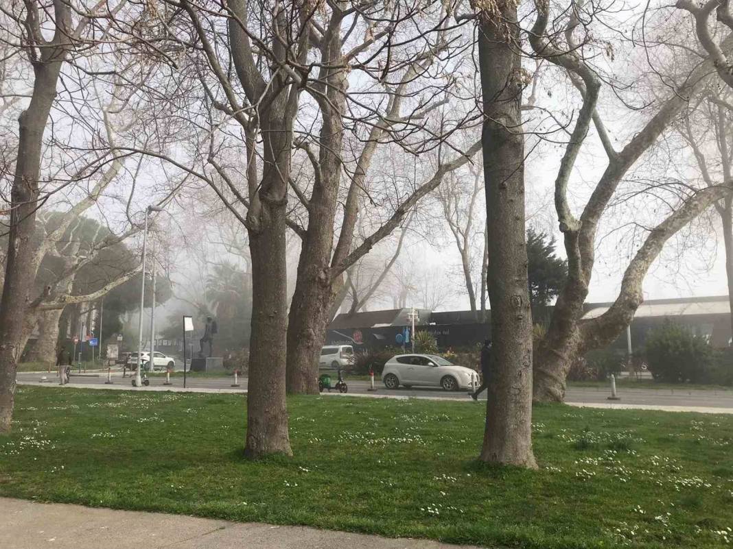 İstanbullular bu uyarıya kulak verin: Son derece riskli! Her yıl 44 bin kişi bu nedenle hayatını kaybediyor 15